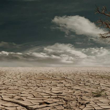 A Solitary Tree Stands Against A Cracked, Arid Landscape Under A Cloudy Sky, Illustrating Drought And Desertification.