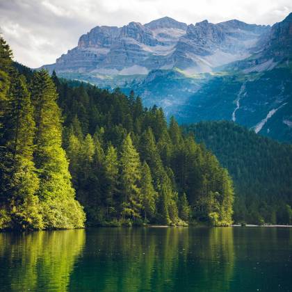 Peaceful Alpine Landscape Featuring A Serene Lake With Mountain And Forest Reflections.