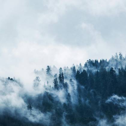 A Serene View Of A Mist Covered Forest On A Mountain Slope, Creating A Moody And Mysterious Atmosphere.
