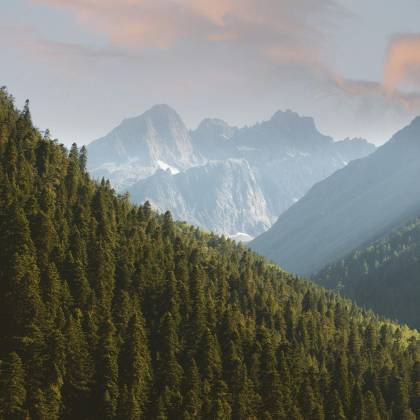 Stunning Landscape Of The Evergreen Forest And Mountains In Teberda, Russia.