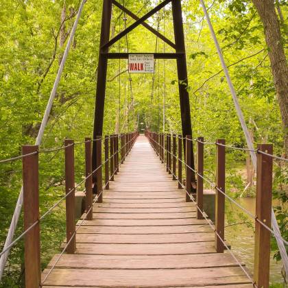 Scenic Wooden Footbridge In A Green Forest Park On A Sunny Day.
