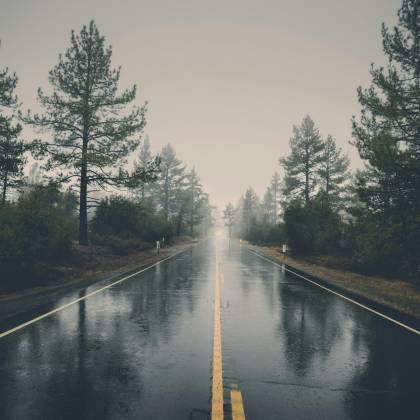 A Serene Rain Soaked Road Cutting Through A Misty Forest, Creating A Mystical Atmosphere.