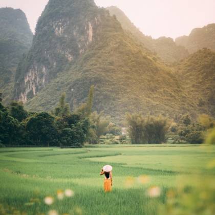Explore The Tranquility Of Vietnamese Rice Fields With Majestic Mountain Views And Serene Countryside Vibes.