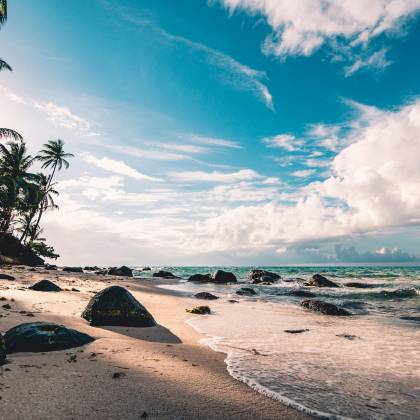 Experience The Serene Beauty Of A Tropical Beach In RAAS, Nicaragua, With Palm Trees And Ocean Waves.