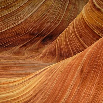 Breathtaking View Of The Vibrant Undulating Sandstone Formations In The Wave, Arizona.